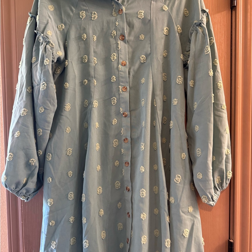 Umgee Women’s pale green Dress